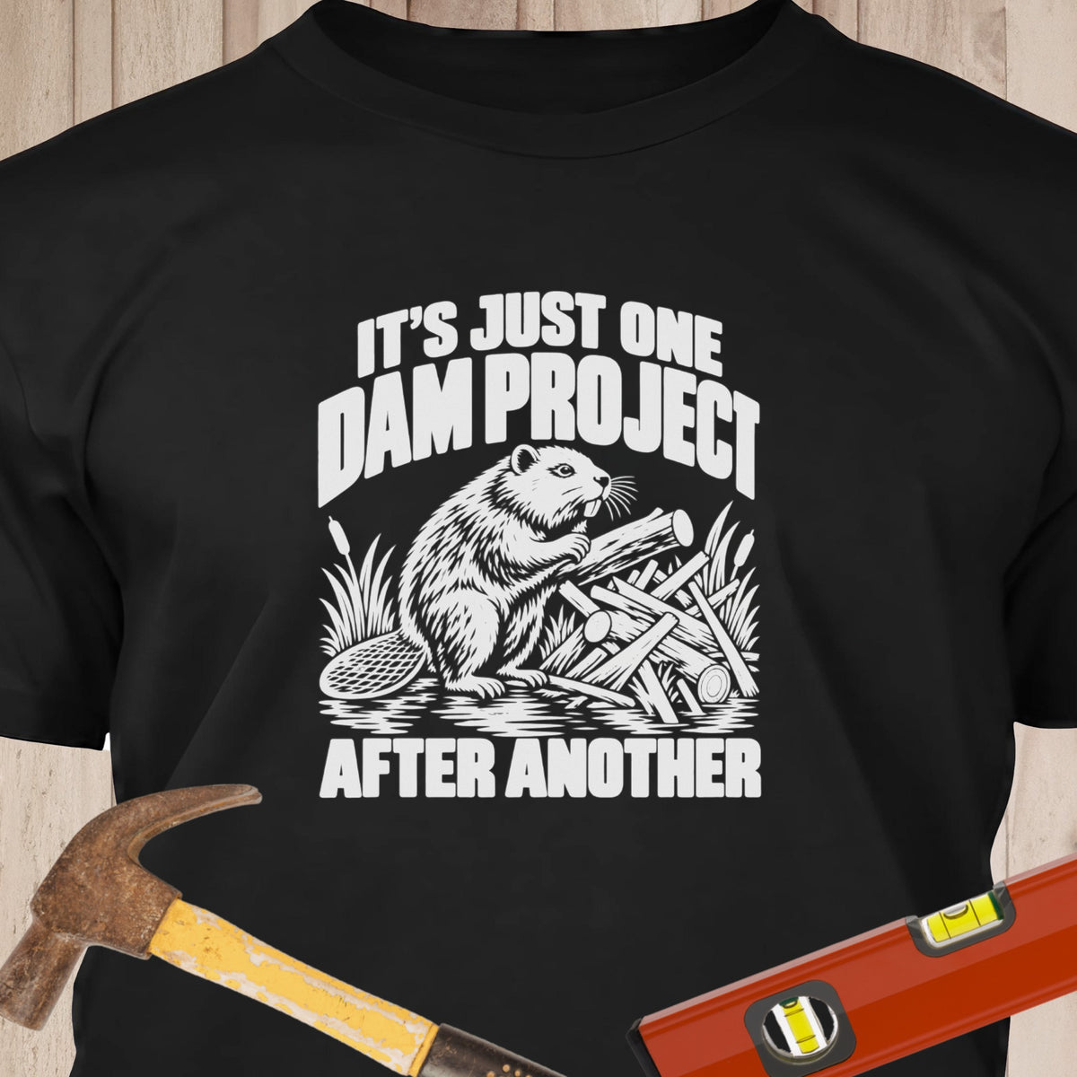 One Dam Project