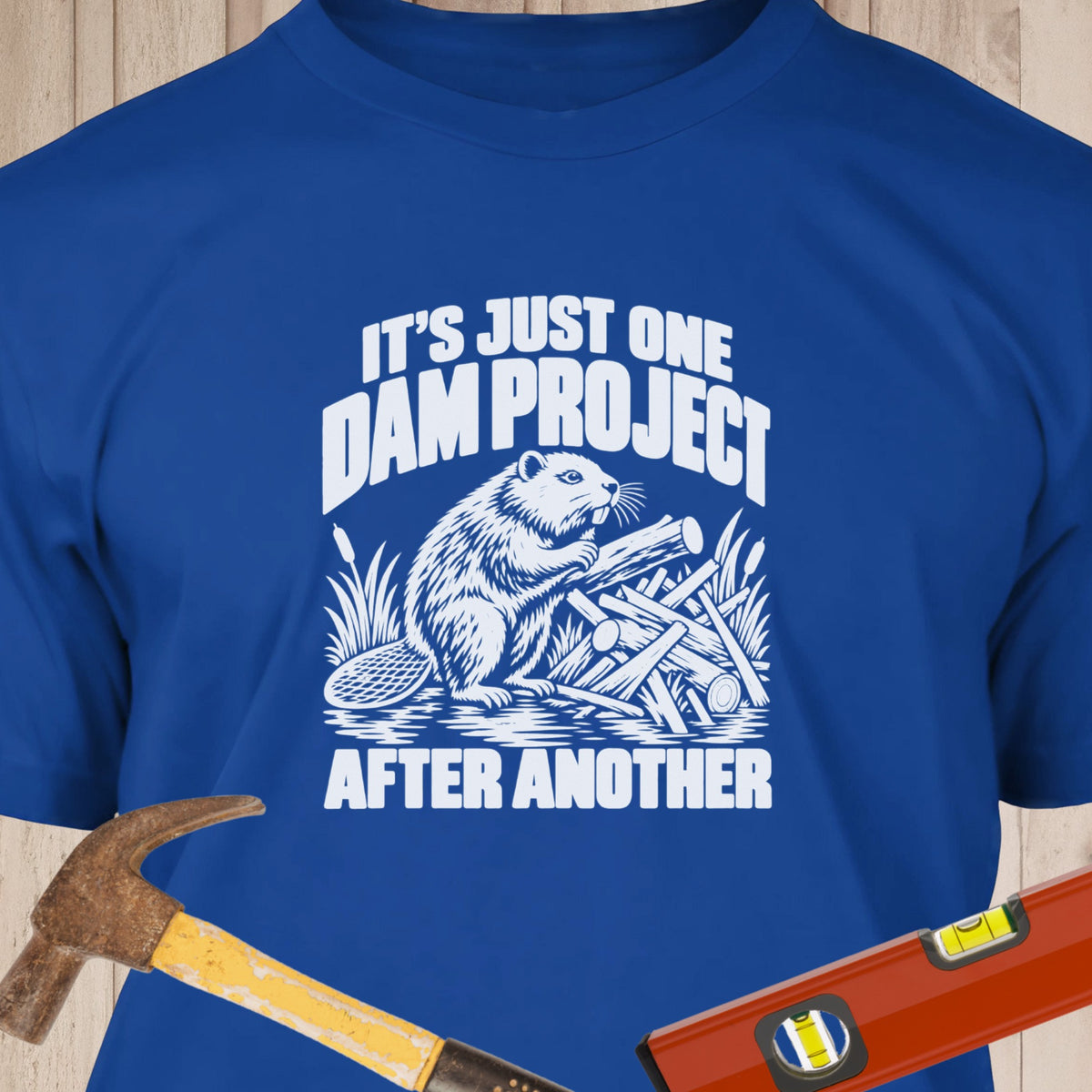 One Dam Project